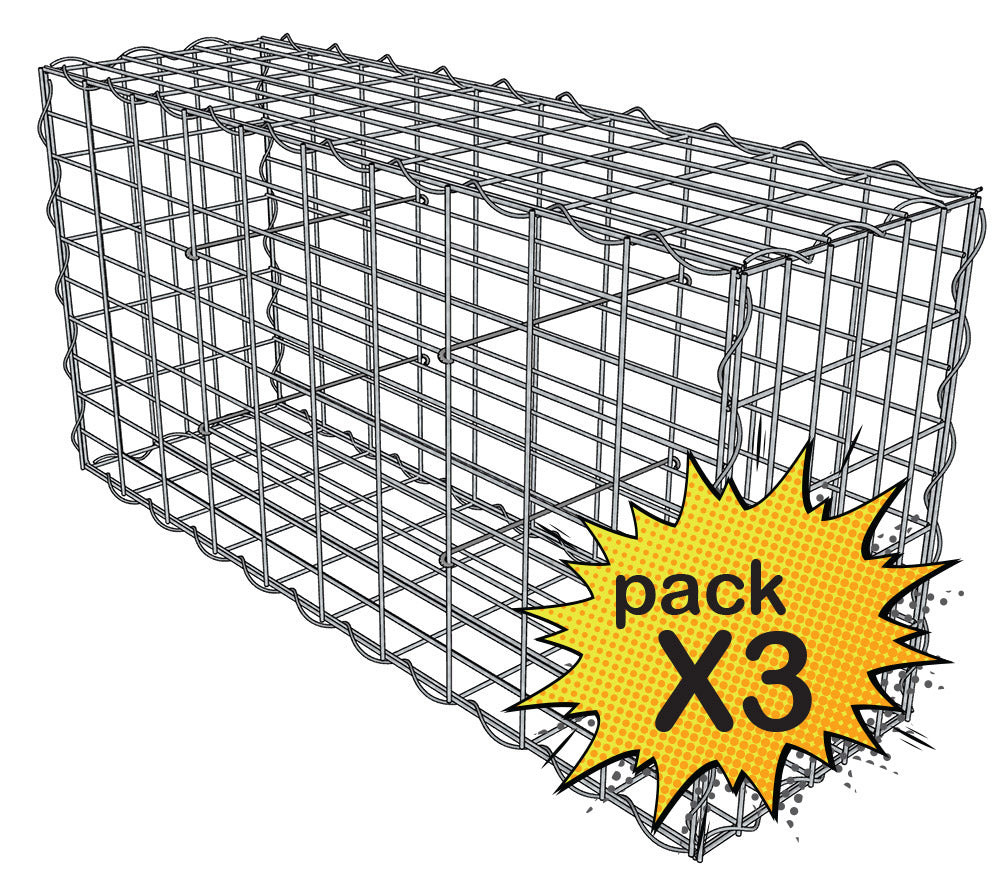 Lot de 3 Gabions 100x30x50cm