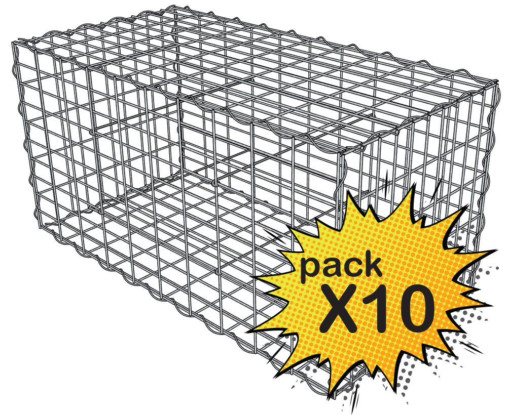 Lot de 10 Gabions 100x50x50cm