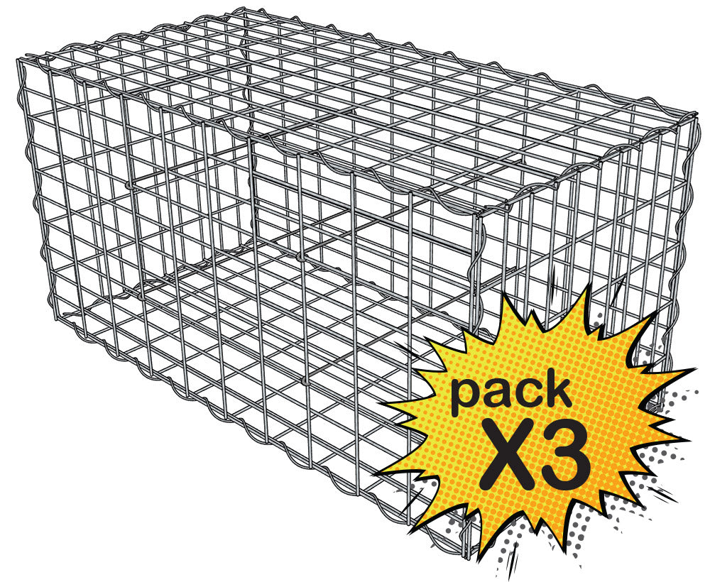 Lot de 3 Gabions 100x50x50cm