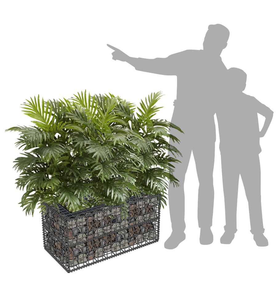 Jardinière Gabion 100x50x50cm