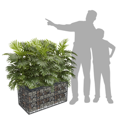 Jardinière Gabion 100x50x50cm