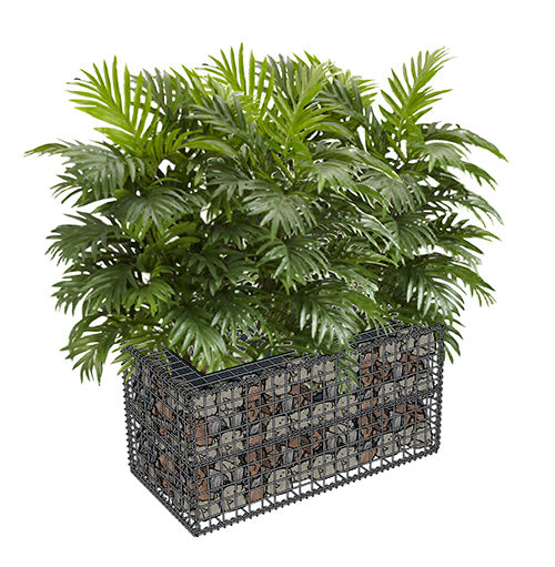 Jardinière Gabion 100x50x50cm